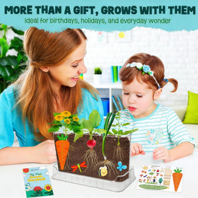 LYKOCLEAN See-through Planter highlights root patterns for learning and curiosity.