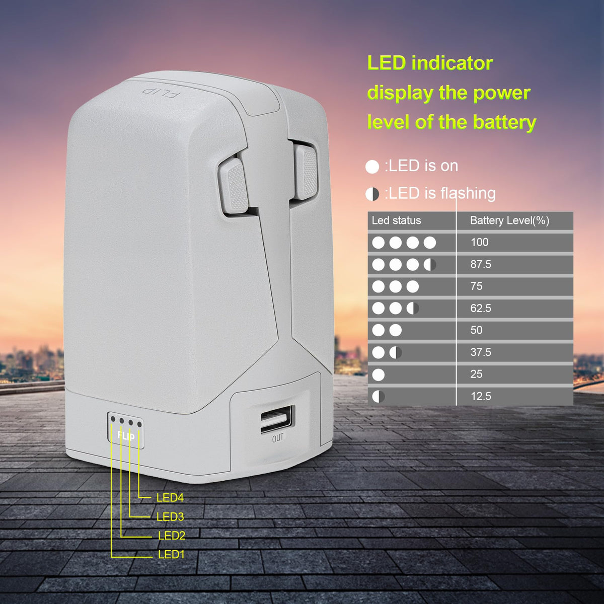 Storage mode on LYONGTECH 45W charger preserves batteries for storage