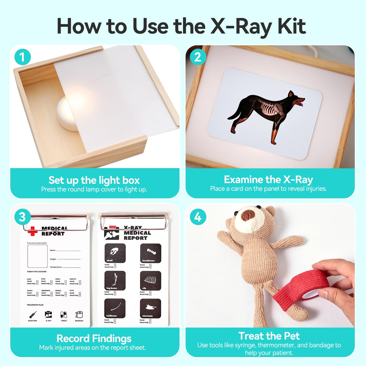 Macabaka wooden light box reveals clear X-ray cards for learning