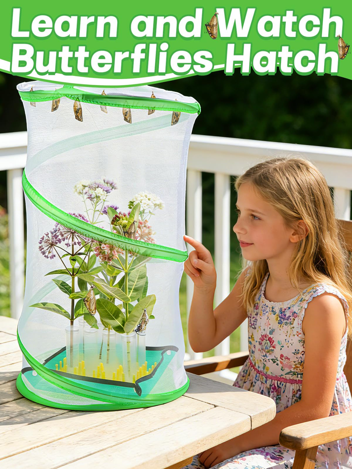 MADHOLLY breathable mesh design enables safe, visible life-cycle observation.