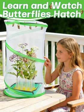 MADHOLLY breathable mesh design enables safe, visible life-cycle observation.