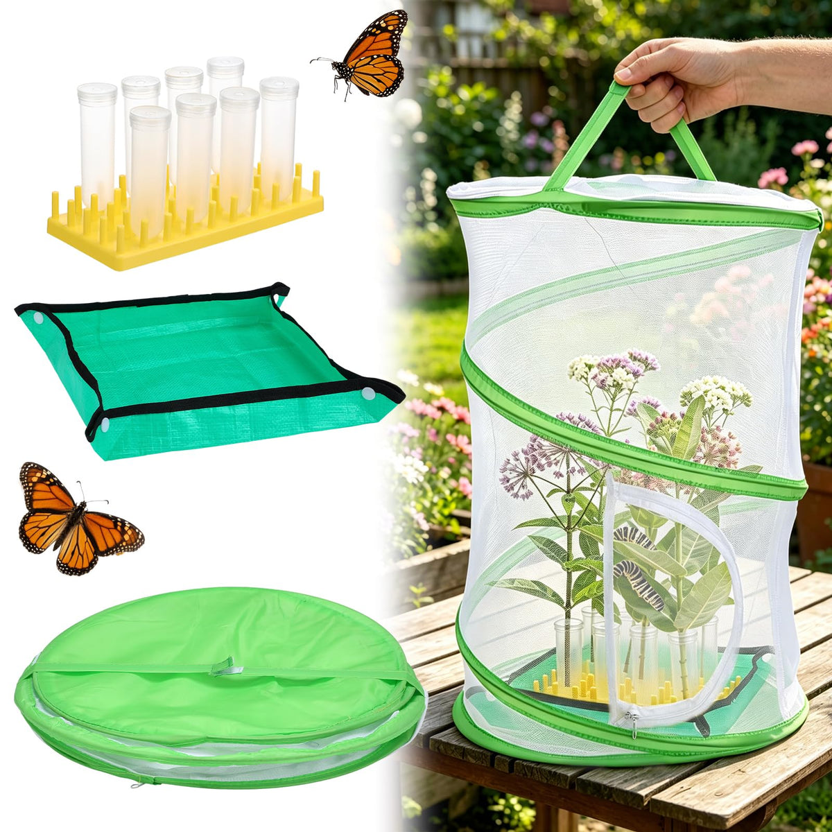 MADHOLLY complete butterfly habitat cage for classroom observation and safe butterfly housing.