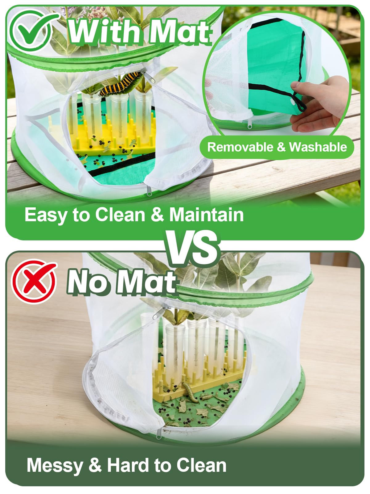 MADHOLLY hydroponic feeding tubes with milkweed support for caterpillar feeding.