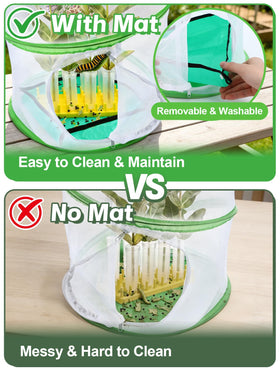 MADHOLLY hydroponic feeding tubes with milkweed support for caterpillar feeding.