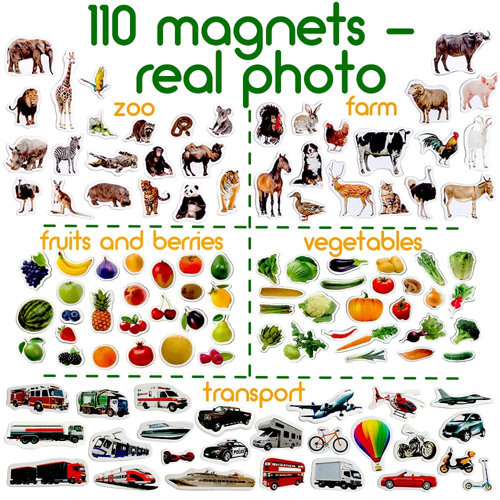 MAGDUM 110 fridge magnets fruits aiding healthy recognition