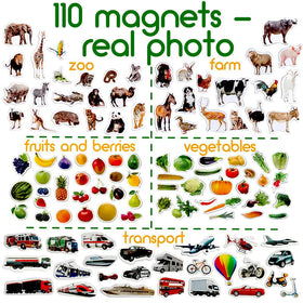 MAGDUM 110 fridge magnets fruits aiding healthy recognition