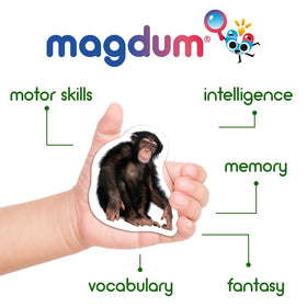 MAGDUM 110 fridge magnets vegetables for color and shape recognition