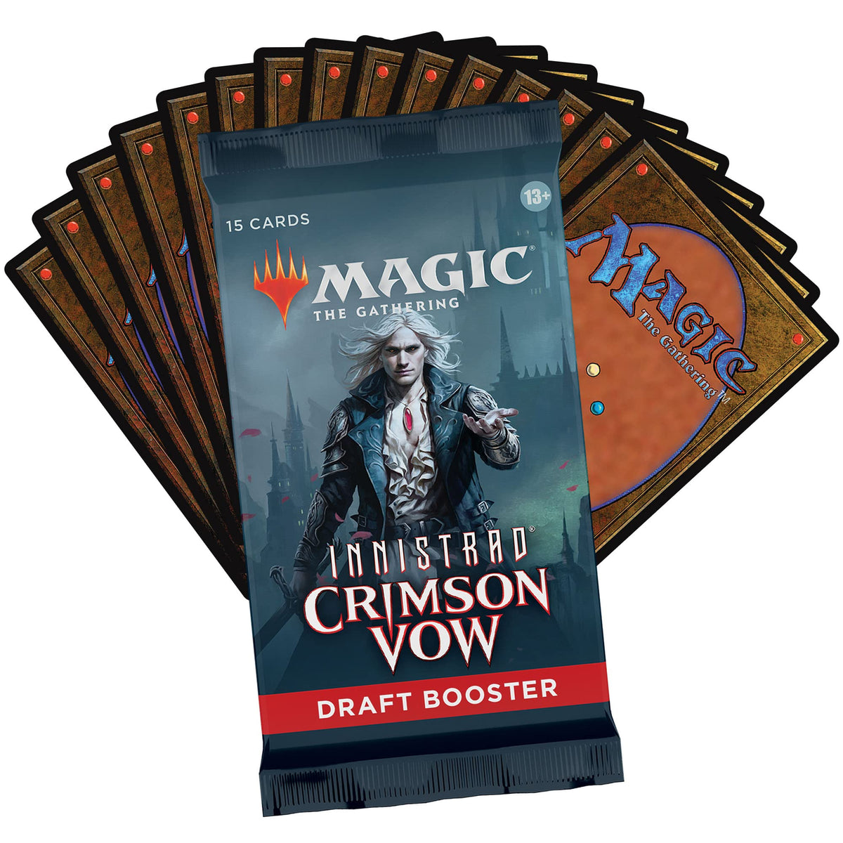 Eternal Night Full-Art Basic Land from Innistrad Crimson Vow booster