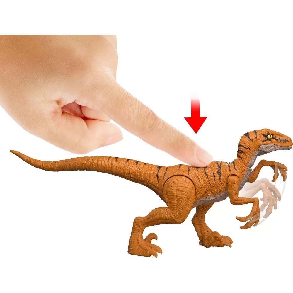 MAGNETOE Velociraptor Trilogy articulation: multiple joints support striking poses for display or storytelling