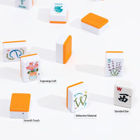 Mahjongolé instruction manual helps beginners learn American mahjong rules