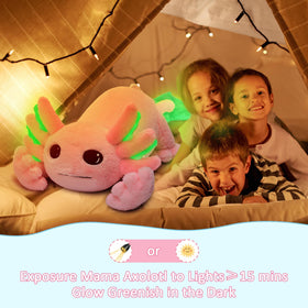 MaoGoLan large axolotl body pillow doubles as decorative statement