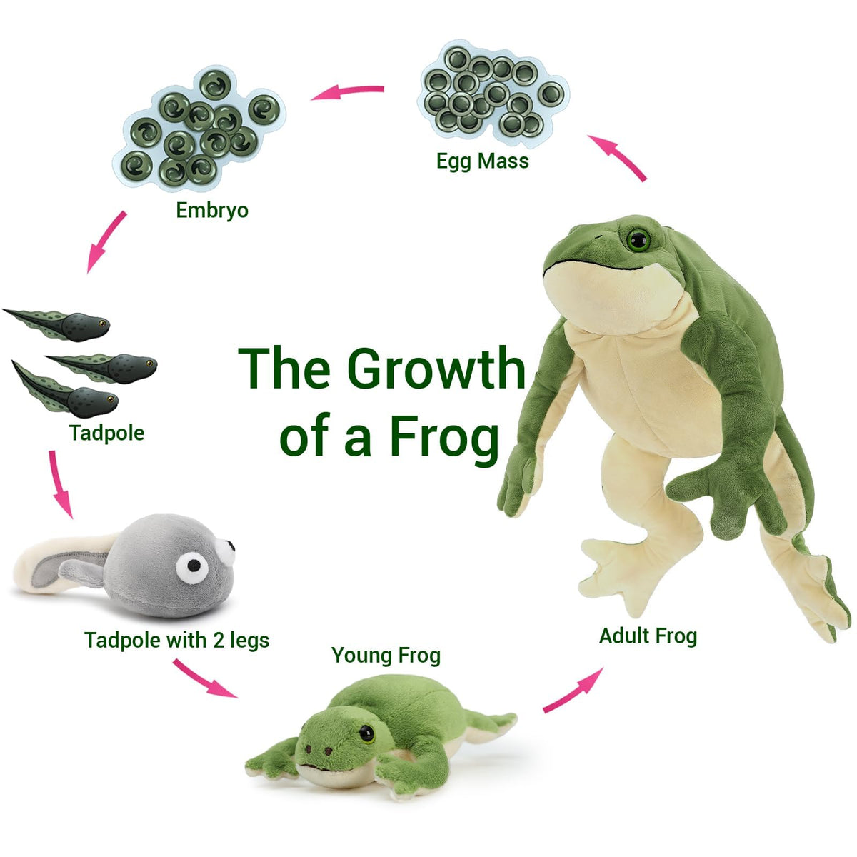 MaoGoLan frog plush care tips to maintain softness.