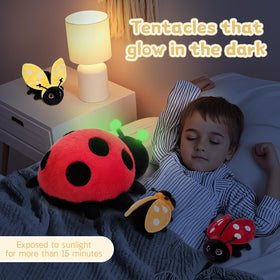 MaoGoLan Ladybug set packaging displayed as a charming gift option.