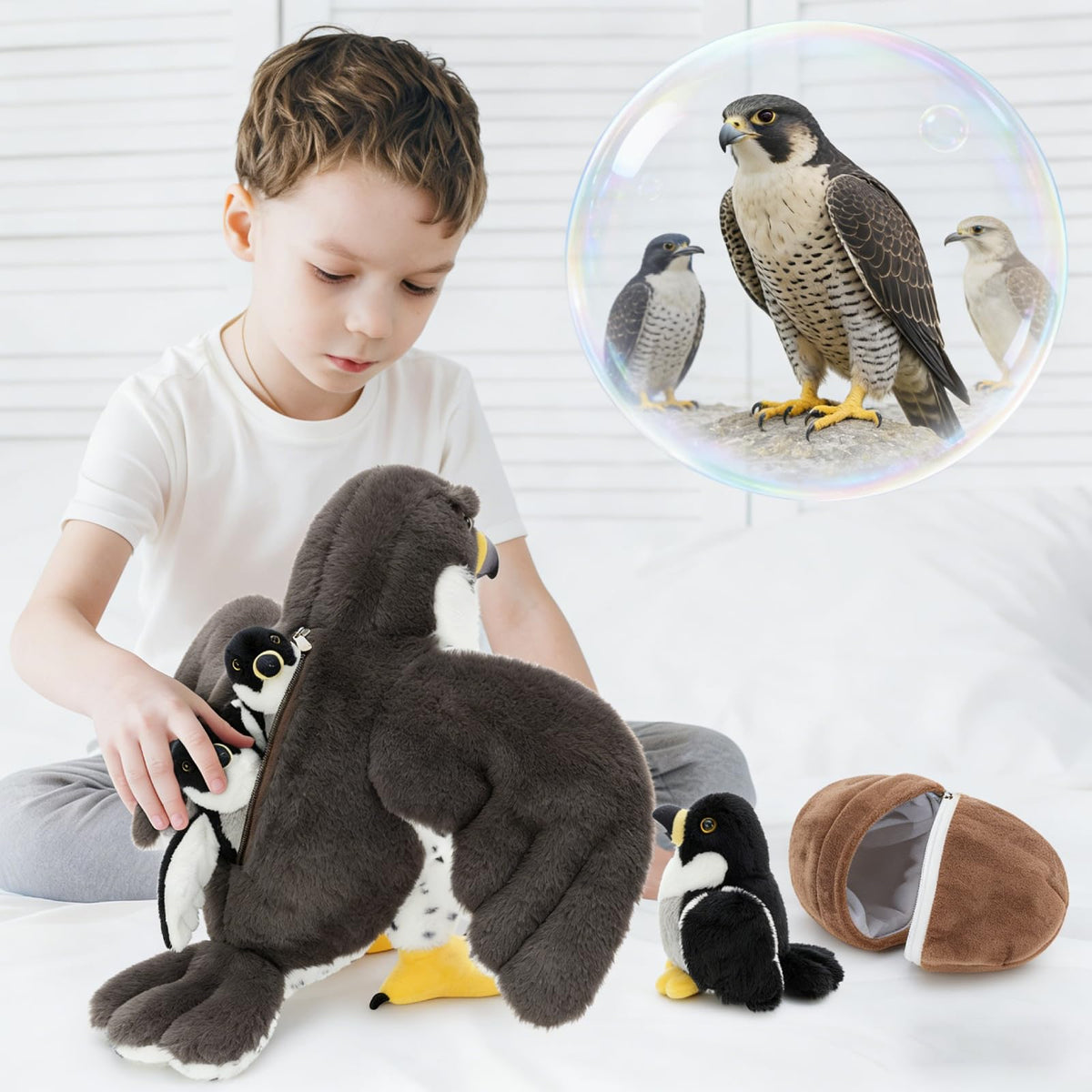 MaoGoLan Peregrine falcon chick with wings folded for cozy cuddle and display