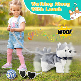 Marsjoy Husky leash design guides safe, supervised walking adventures
