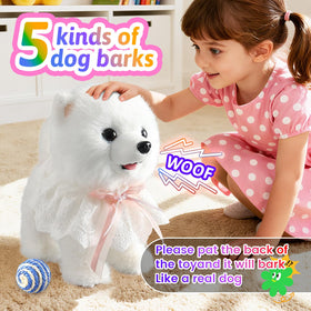 Marsjoy Samoyed Walking Dog singing eight songs during playtime