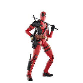 Adult collector gift ready for fans aged 14 and up