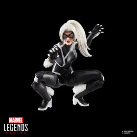 Marvel Legends Gamerverse collection display featuring Black Cat with other figures.