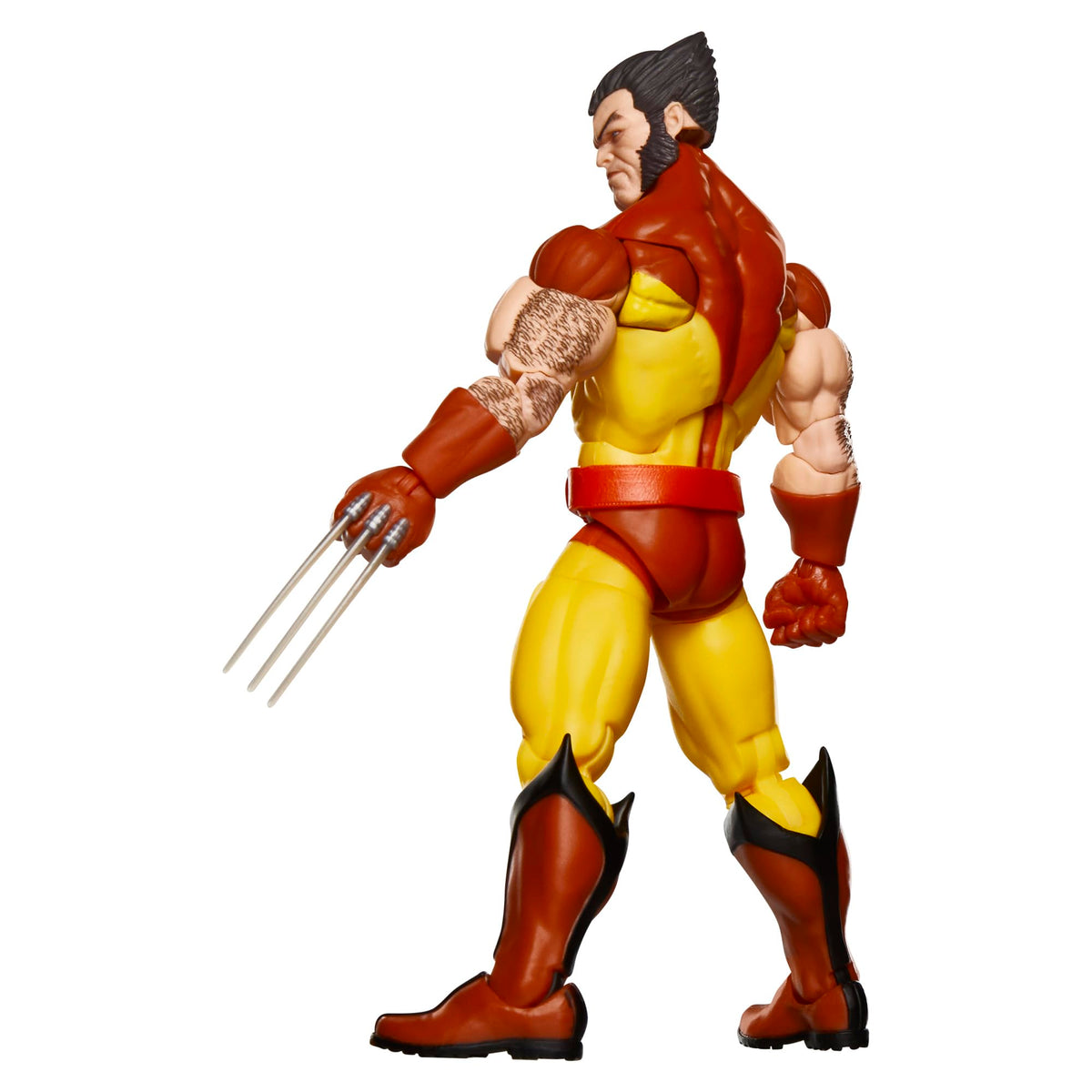 Marvel Legends Series Wolverine packaging front, perfect for unboxing and collection setup.