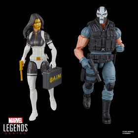 Marvel Legends two-pack display box for collectors shelf.