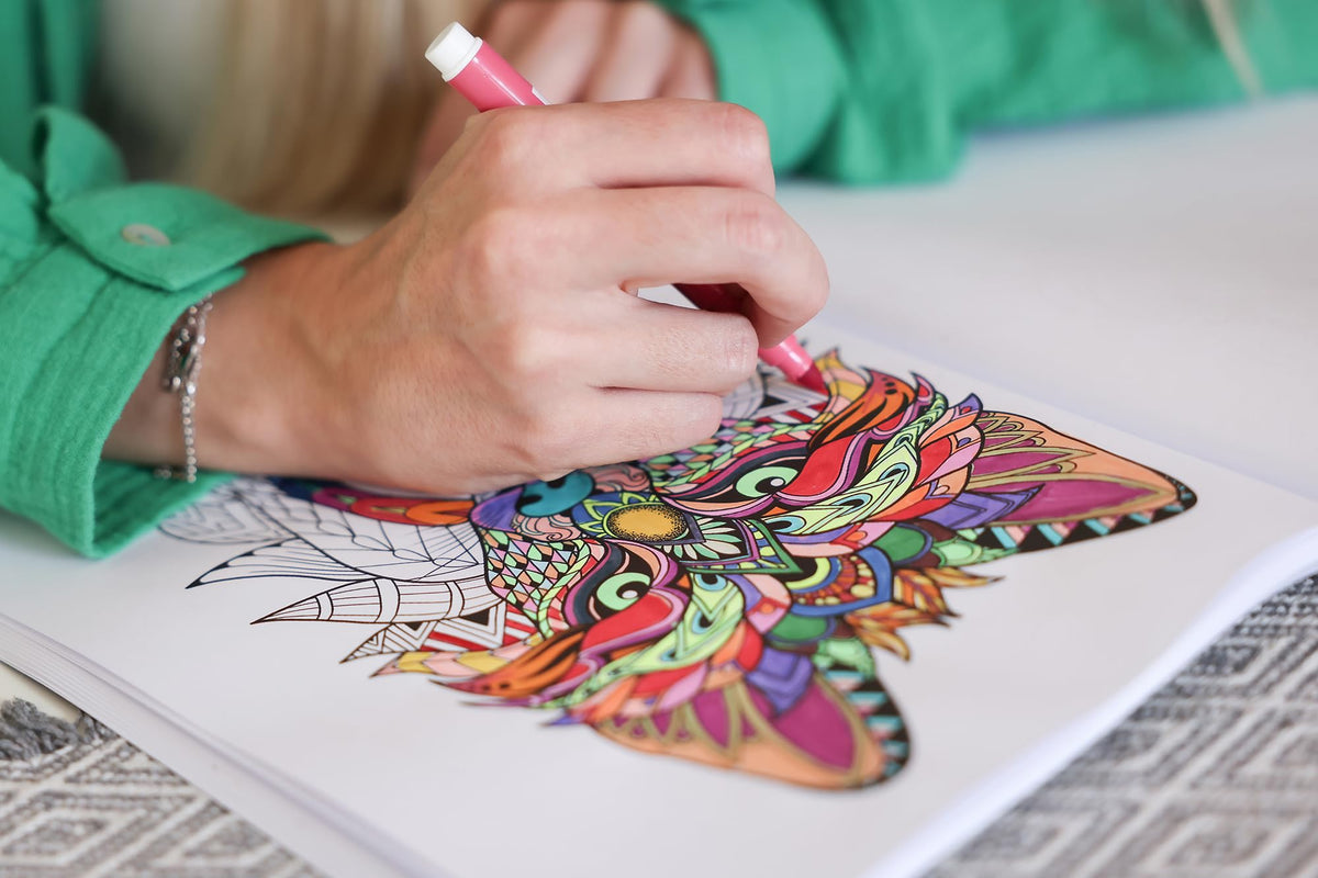 Marvin's Magic vibrant color collection enables creative, erase-and-retry doodling.