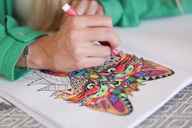 Marvin's Magic vibrant color collection enables creative, erase-and-retry doodling.