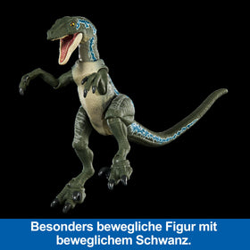 Mattel Blue Velociraptor jaw opens to 65 degrees for dynamic posing.