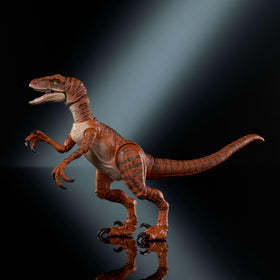 Mattel Jurassic World action figure sized 8.3 inches long for shelf displays.