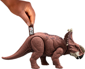 Mattel Jurassic World Wild Roar Pachyrhinosaurus horned-frill enhances display realism