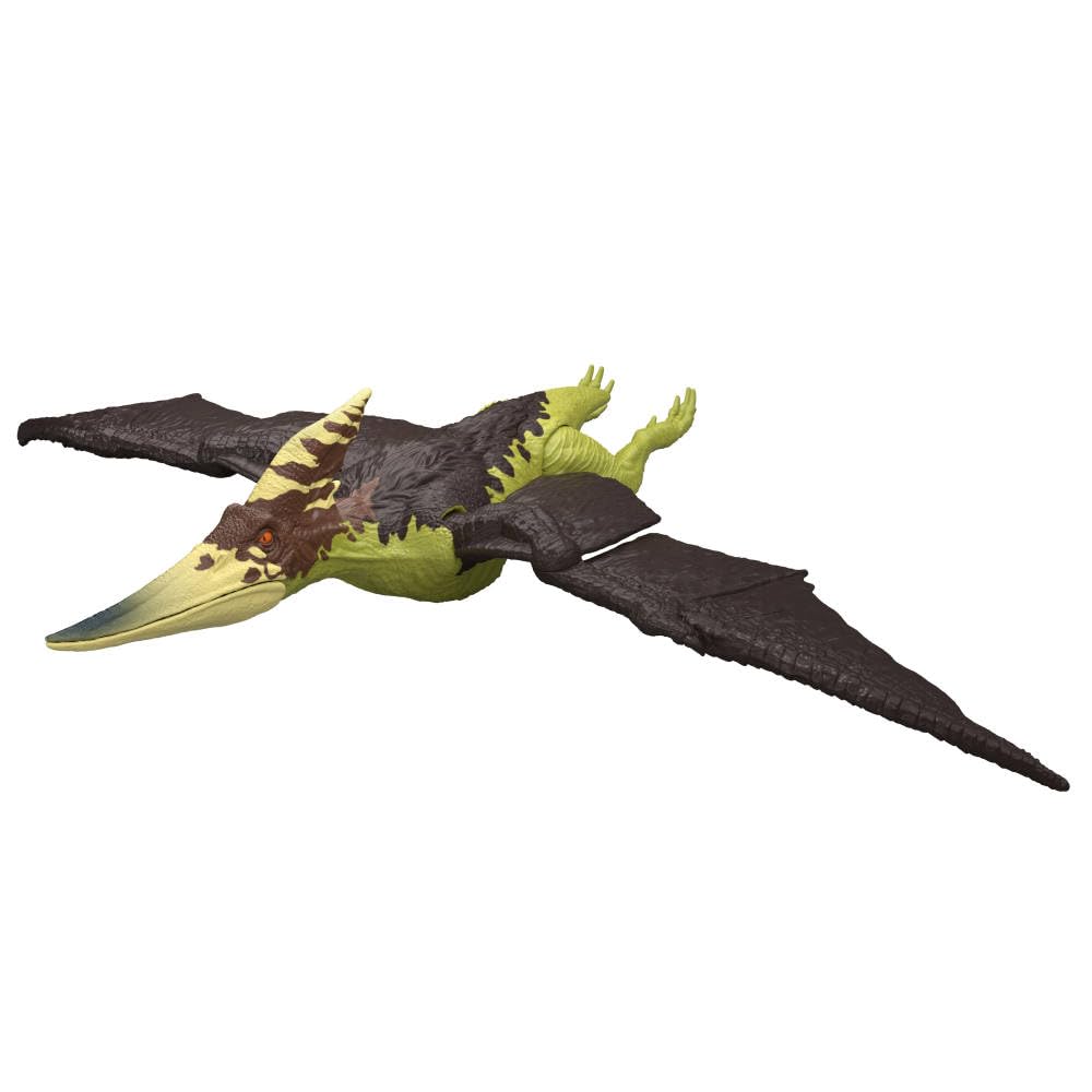 Mattel Jurassic World Wild Roar Pteranodon with 16.9-inch wingspan for display
