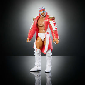 Accessories and display-ready packaging for Dragon Lee collectors and fans.