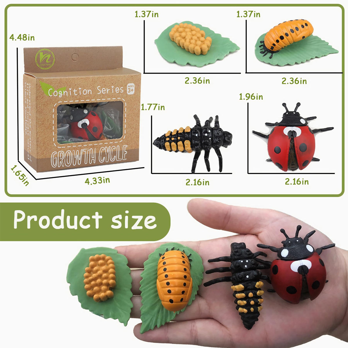 Mbrain monarch butterfly figurines ideal for tactile life cycle exploration