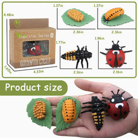 Mbrain monarch butterfly figurines ideal for tactile life cycle exploration