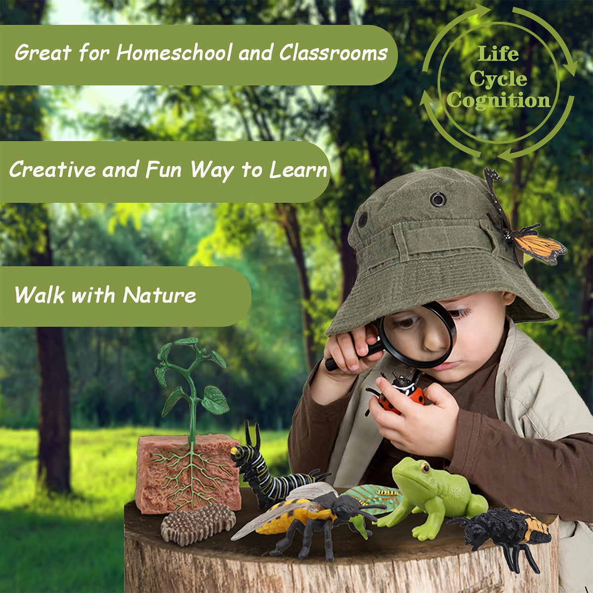 Mbrain Montessori life cycle toy supports safe, creative at-home learning