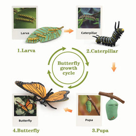 Mbrain plants set enables plant life cycle exploration and interactive lessons