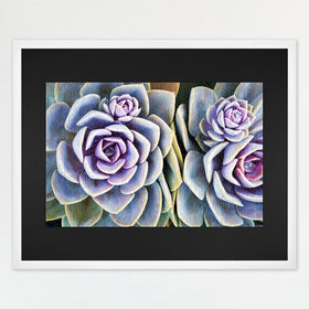 MCS 24x30 puzzle frame white woodgrain front view guarding your finished puzzle