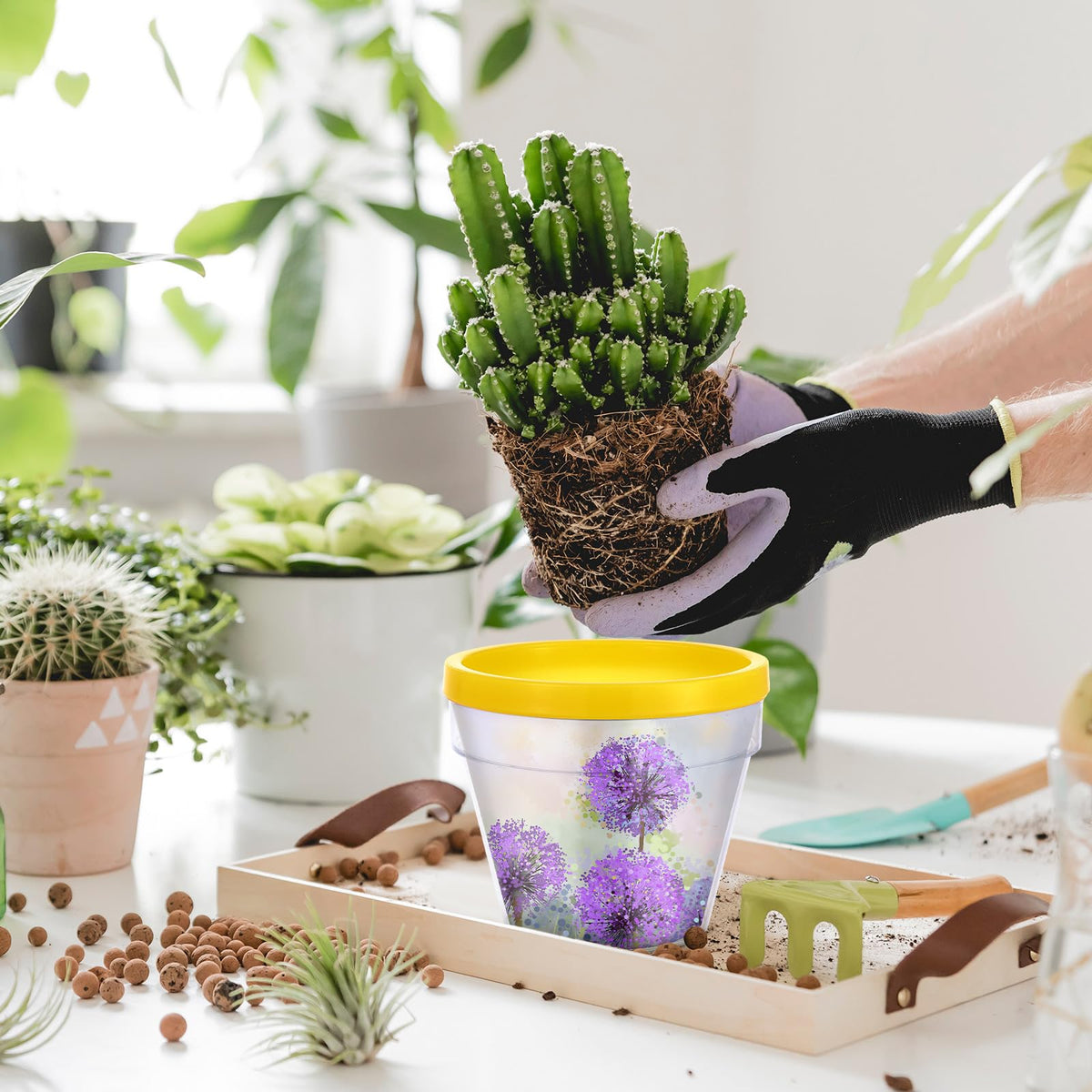 Finished Meanplan pots displayed as stylish home decor