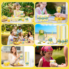 Meanplan lemonade party setup on table for beverage service.