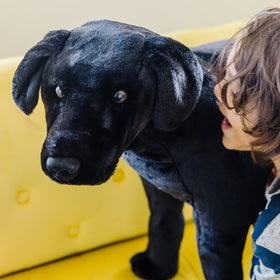 Close-up of Melissa and Doug giant black lab plush face showing realistic markings