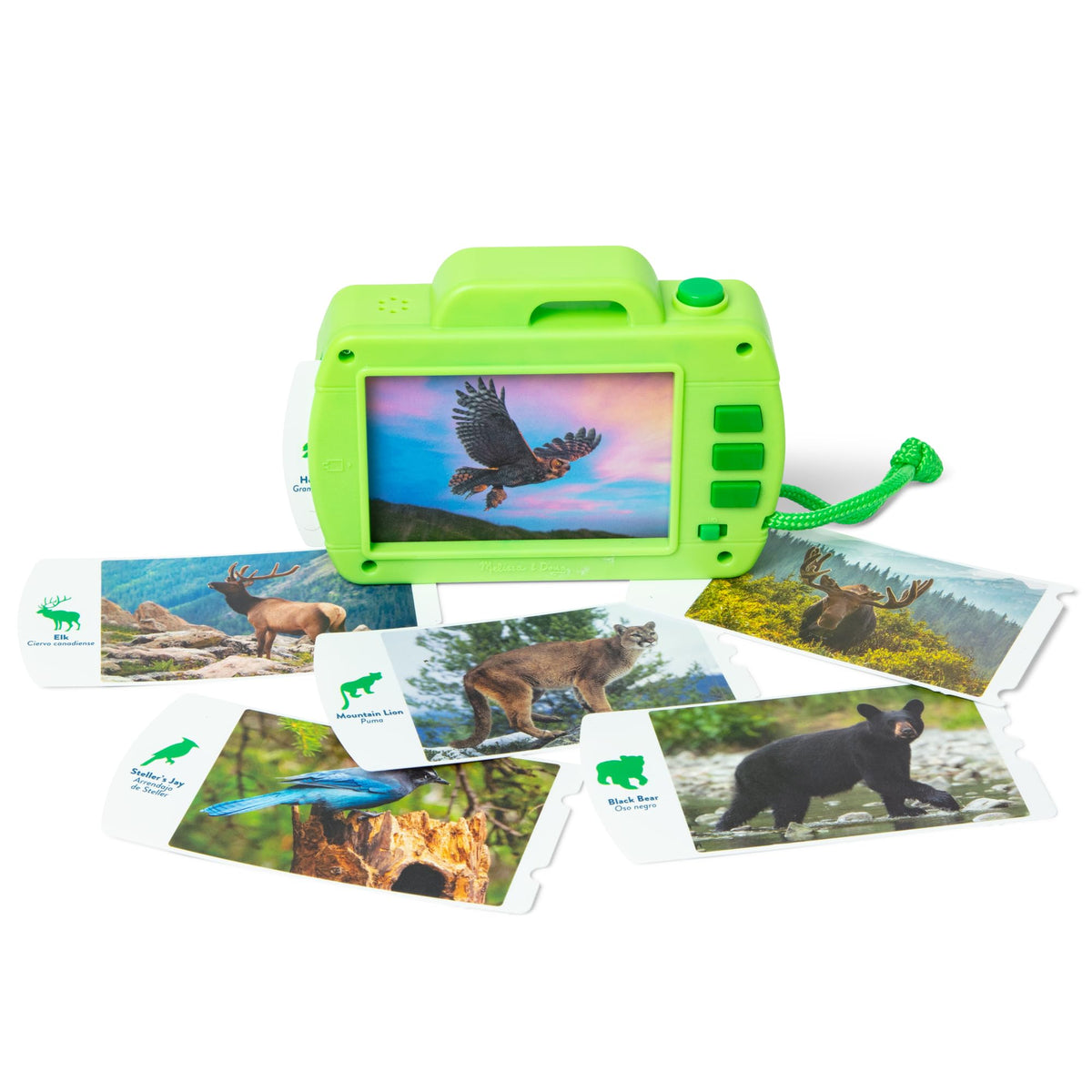 Melissa & Doug Rocky Mountain photo card 2 for plant identification and bilingual learning