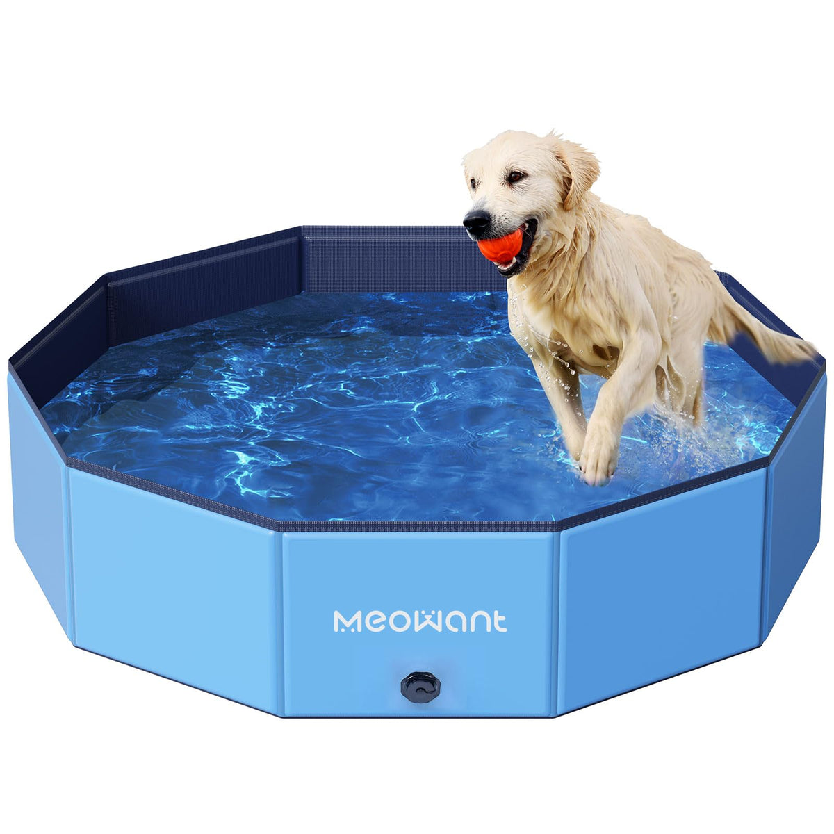 Meowant foldable dog pool folded for travel and storage.