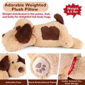 Meowtastic cozy snuggle shot emphasizing warmth and companionship during reading or TV time