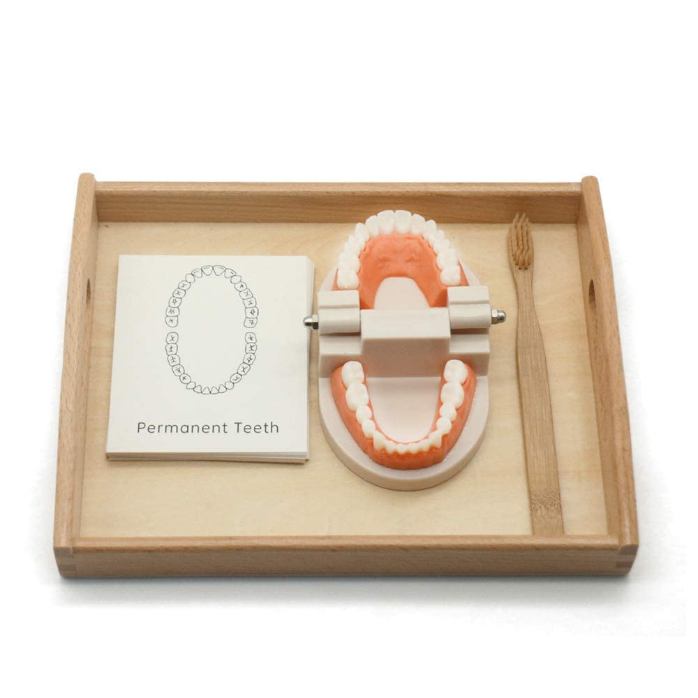 MEROCO gift-ready Montessori set for birthdays or holidays