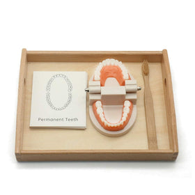 MEROCO gift-ready Montessori set for birthdays or holidays