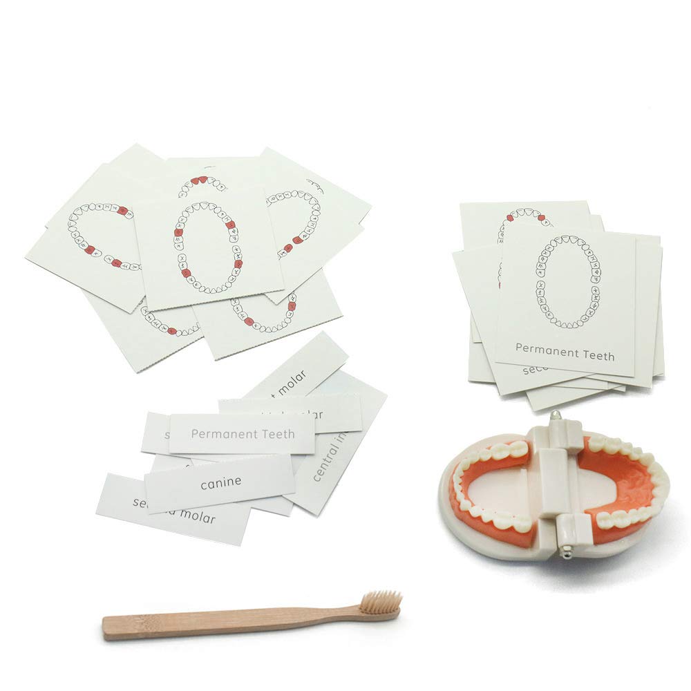 MEROCO homeschool-friendly set for practical life activities