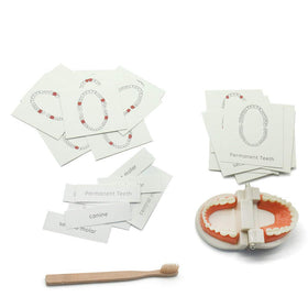 MEROCO homeschool-friendly set for practical life activities