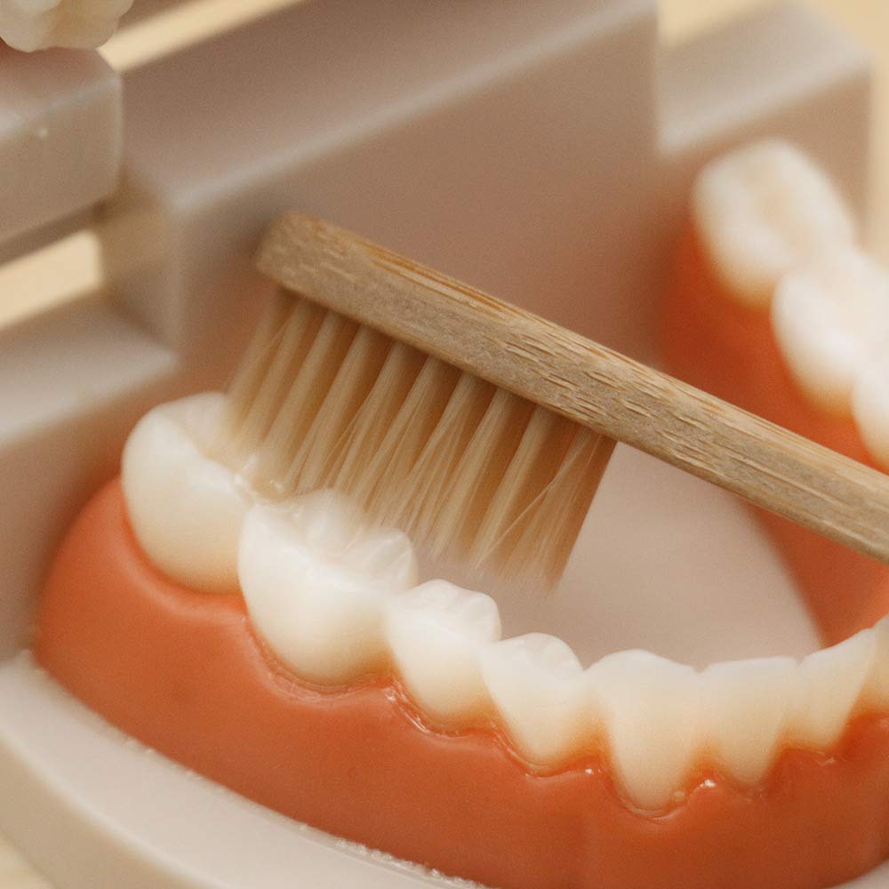 MEROCO toddler-friendly dental care toy for home use