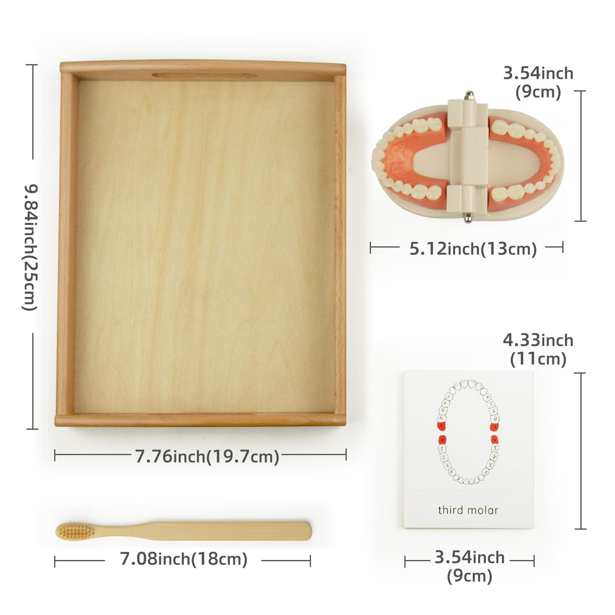 MEROCO wooden tray keeps dental practice materials organized