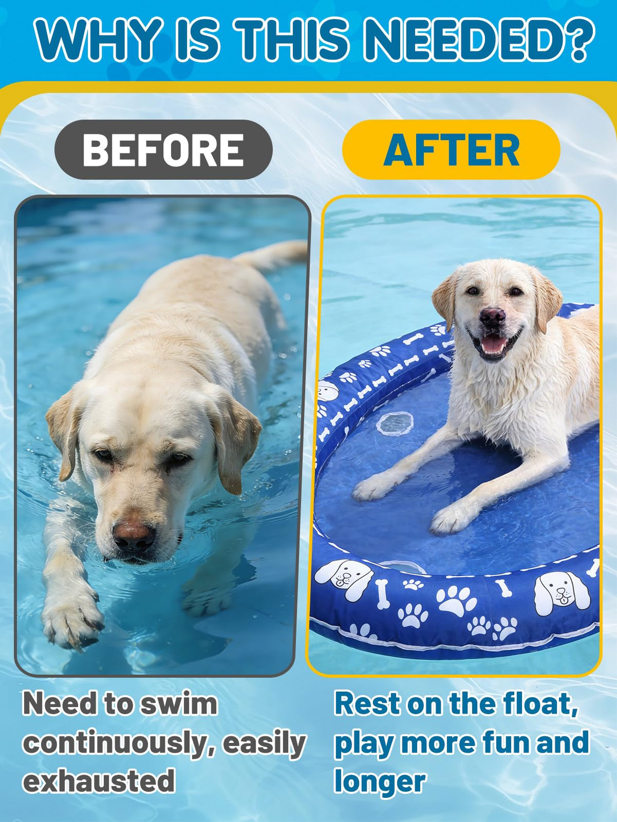 63x41in dimensions provide a stable lounging surface for dogs.
