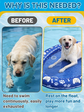 63x41in dimensions provide a stable lounging surface for dogs.